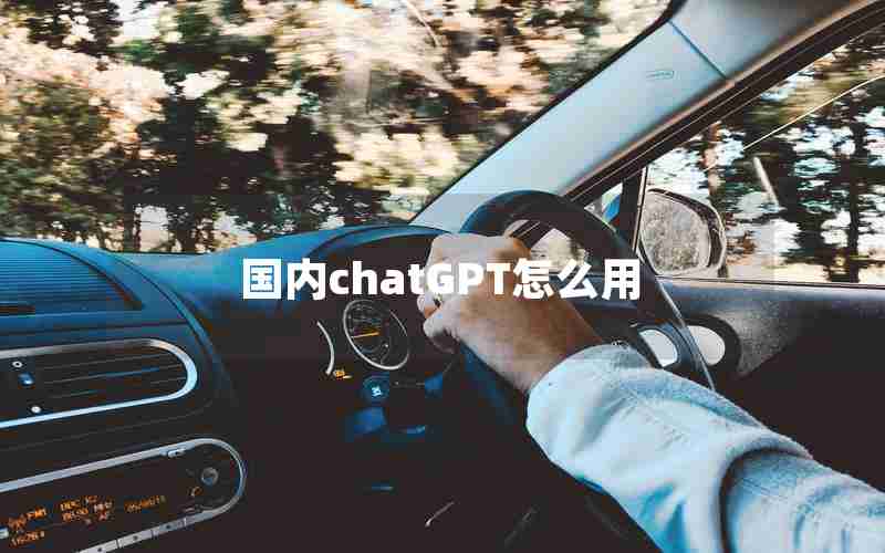 国内chatGPT怎么用