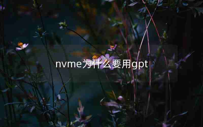 nvme为什么要用gpt