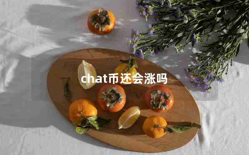 chat币还会涨吗