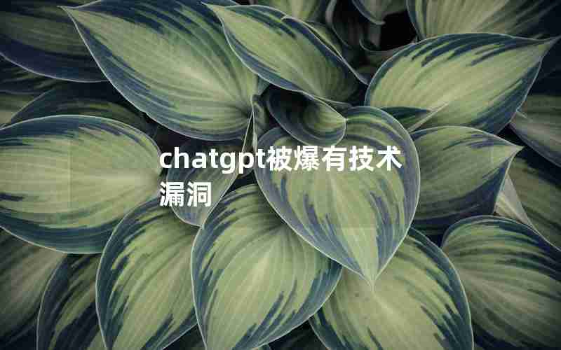 chatgpt被爆有技术漏洞