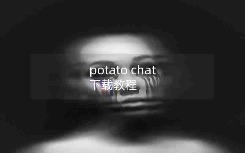 potato chat 下载教程