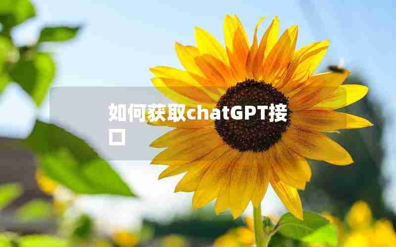 如何获取chatGPT接口