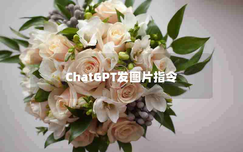 ChatGPT发图片指令