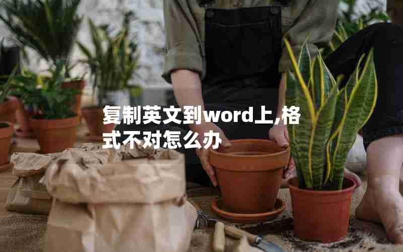 复制英文到word上,格式不对怎么办