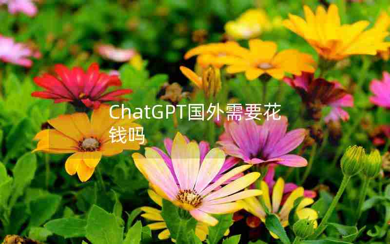 ChatGPT国外需要花钱吗