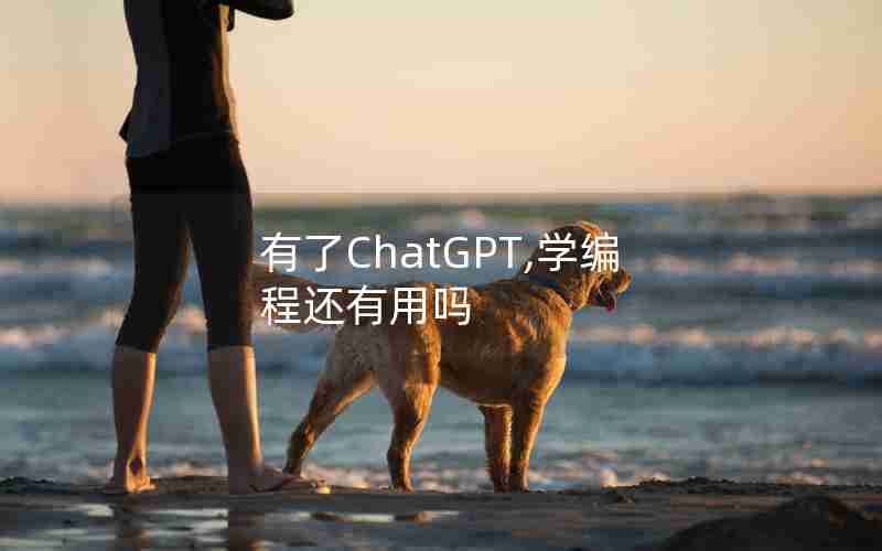 有了ChatGPT,学编程还有用吗