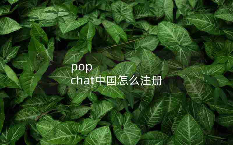 pop chat中国怎么注册