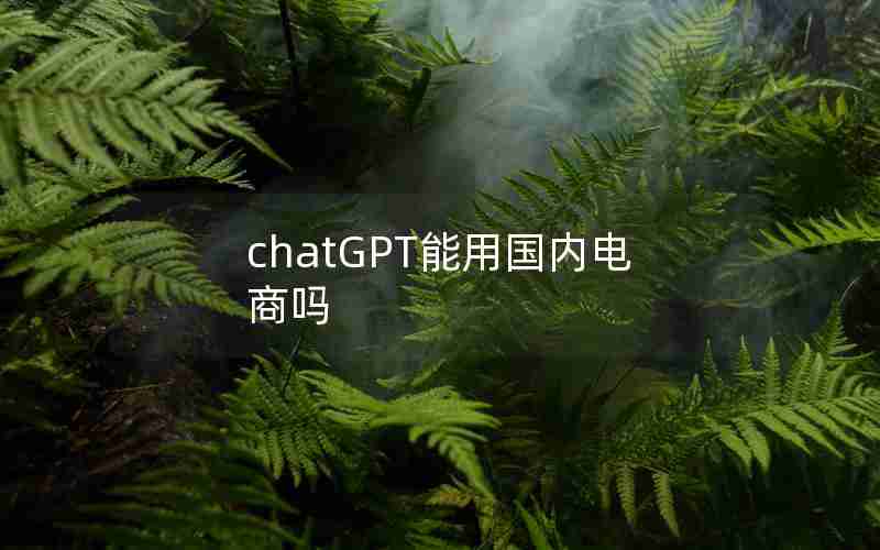 chatGPT能用国内电商吗