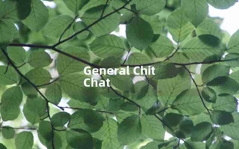 General Chit Chat