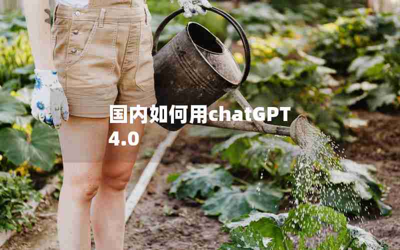 国内如何用chatGPT4.0