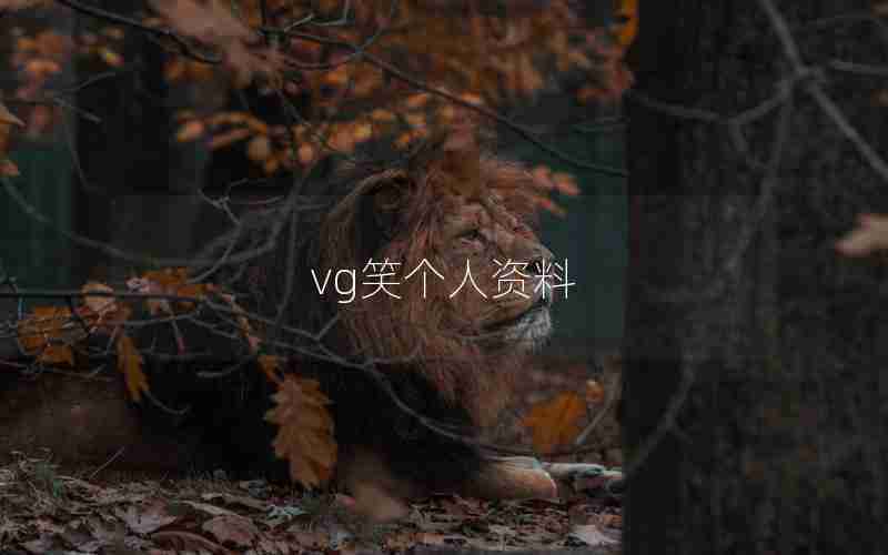 vg笑个人资料