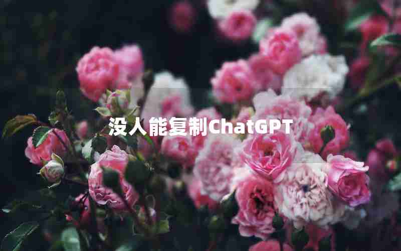 没人能复制ChatGPT