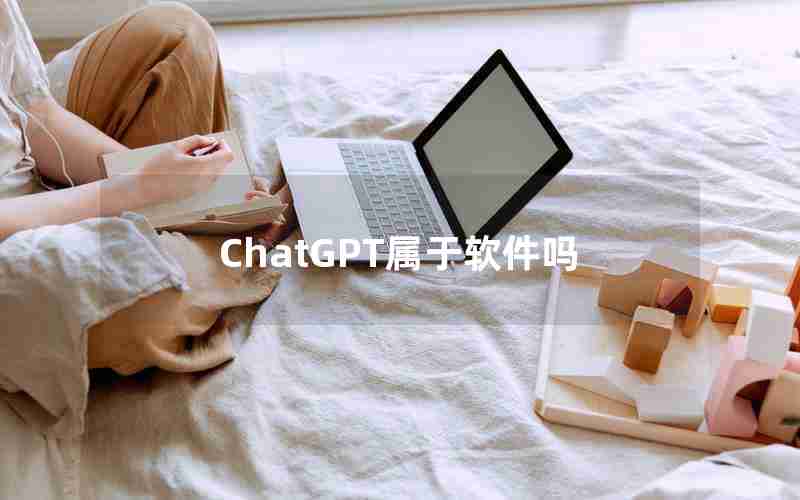 ChatGPT属于软件吗