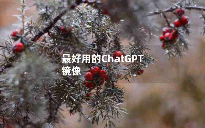 最好用的ChatGPT 镜像