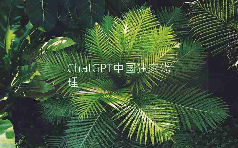 ChatGPT中国独家代理—ChatGPT中国注册代理