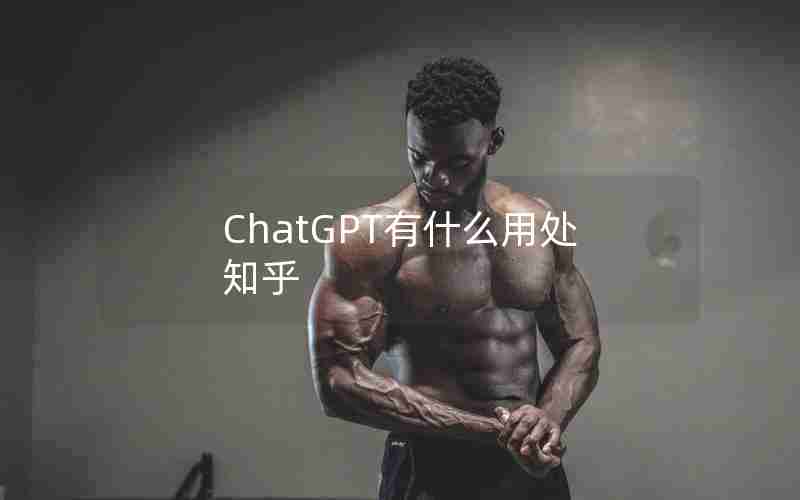 ChatGPT有什么用处知乎