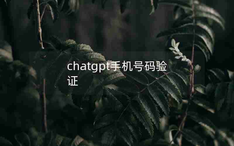 chatgpt手机号码验证