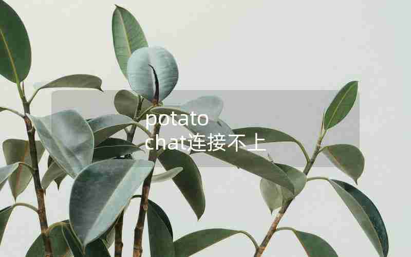 potato chat连接不上