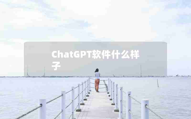 ChatGPT软件什么样子