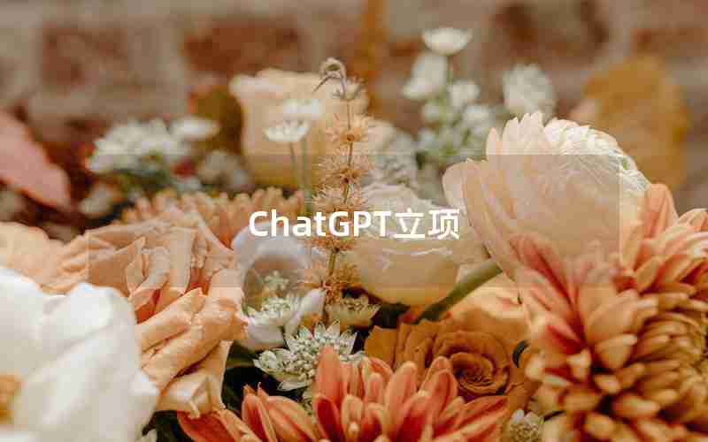 ChatGPT立项