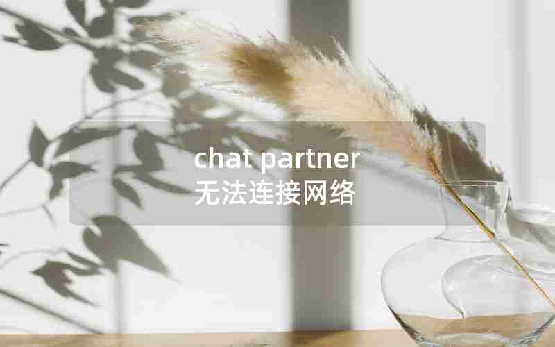 chat partner无法连接网络