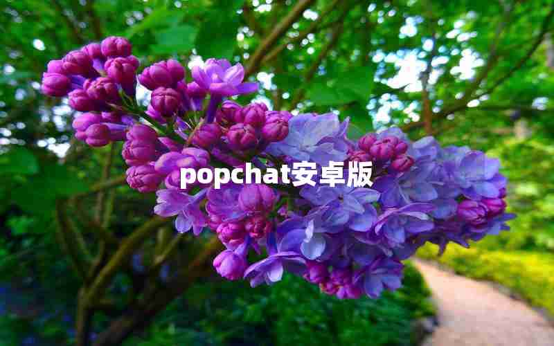 popchat安卓版