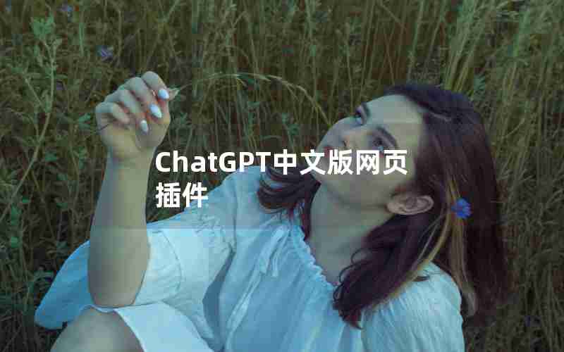 ChatGPT中文版网页插件