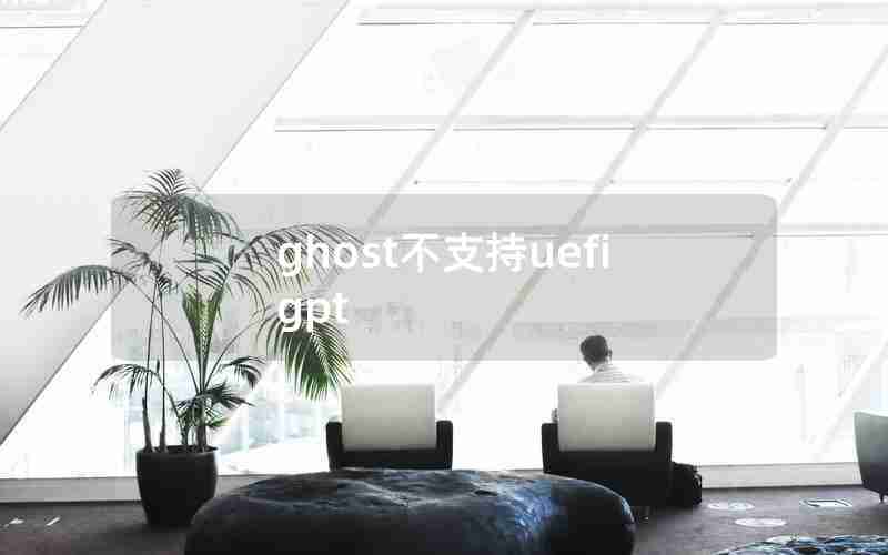 ghost不支持uefi gpt