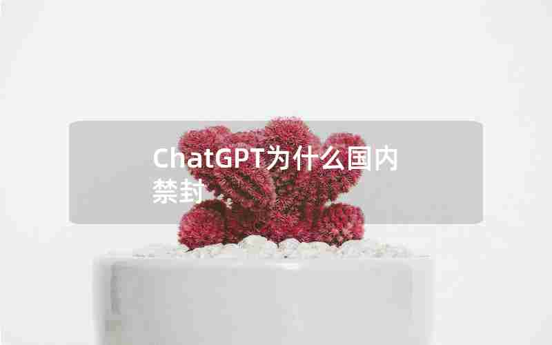 ChatGPT为什么国内禁封