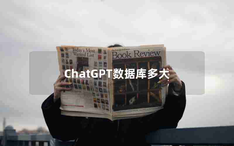 ChatGPT数据库多大