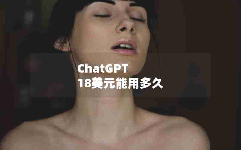 ChatGPT 18美元能用多久