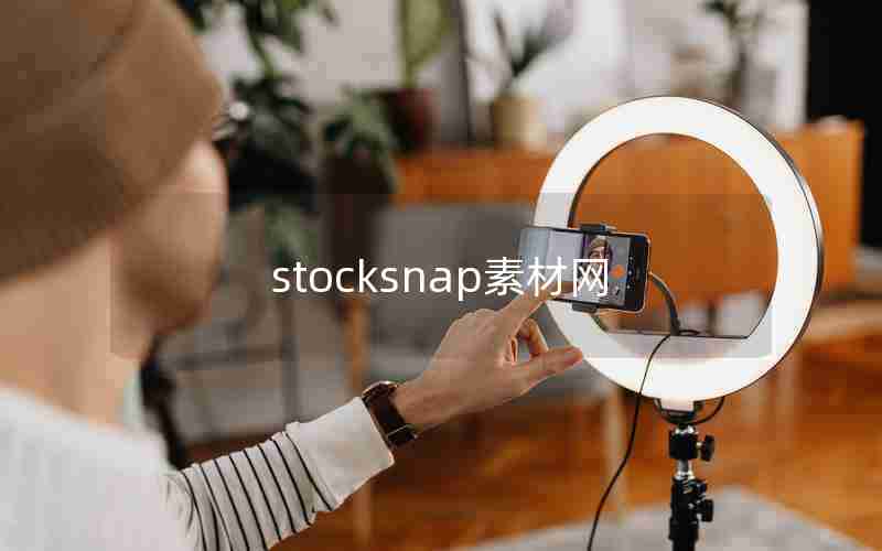 stocksnap素材网