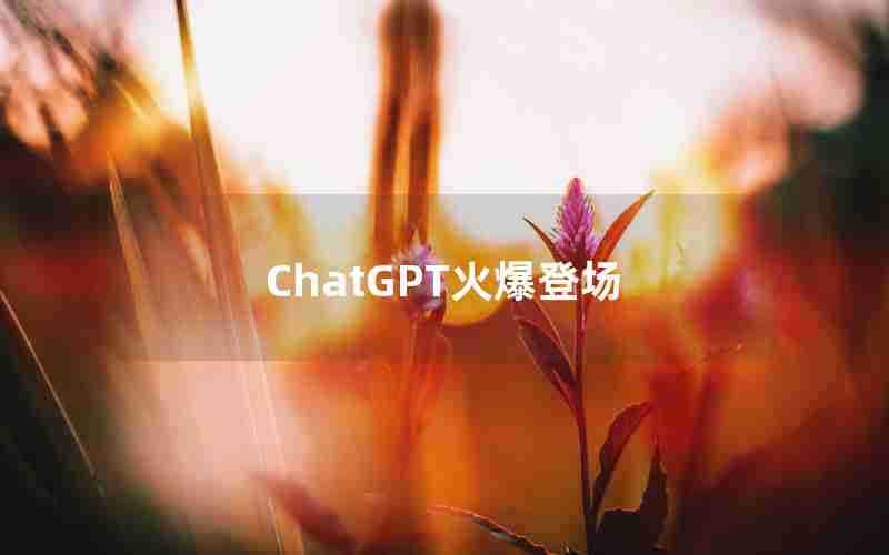 ChatGPT火爆登场