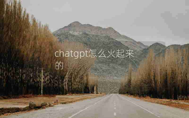 chatgpt怎么火起来的