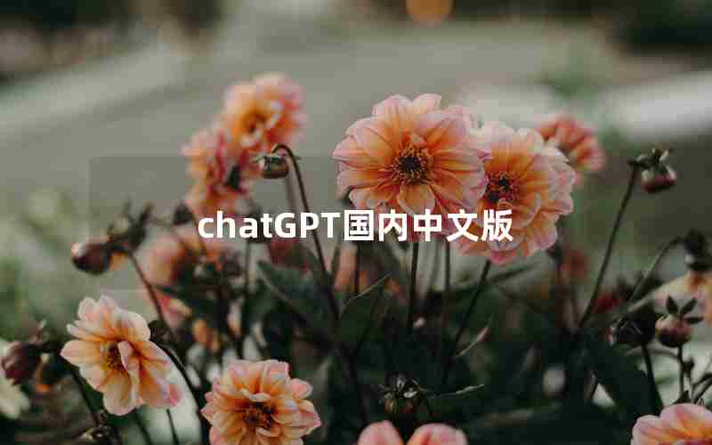 chatGPT国内中文版