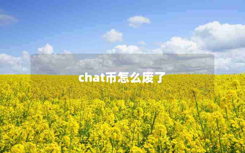 chat币怎么废了