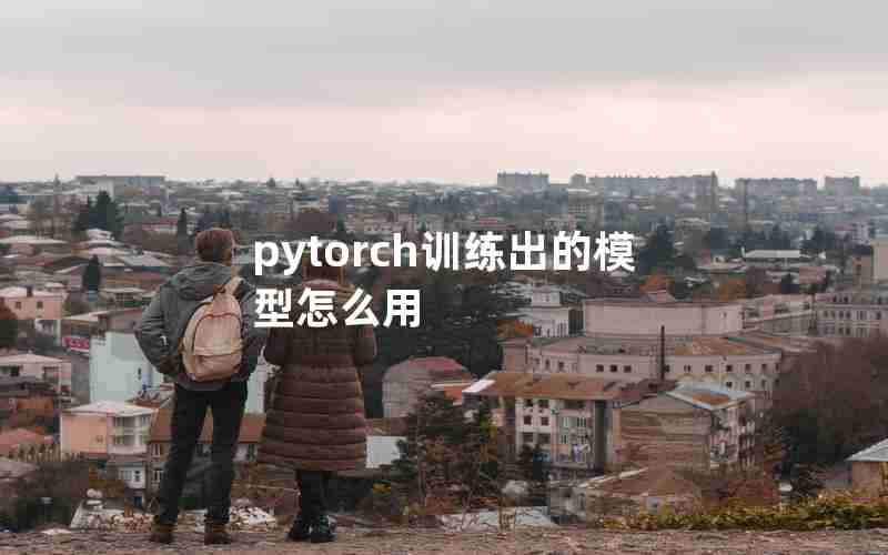 pytorch训练出的模型怎么用