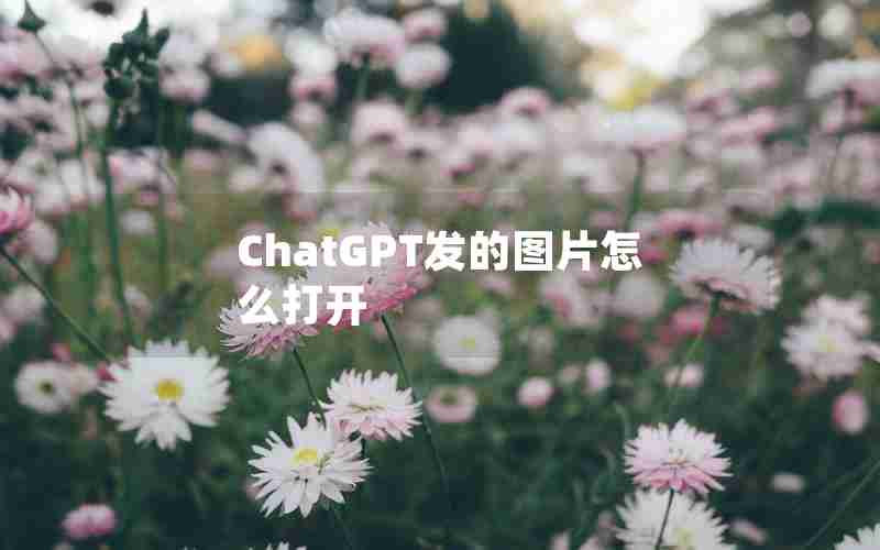 ChatGPT发的图片怎么打开