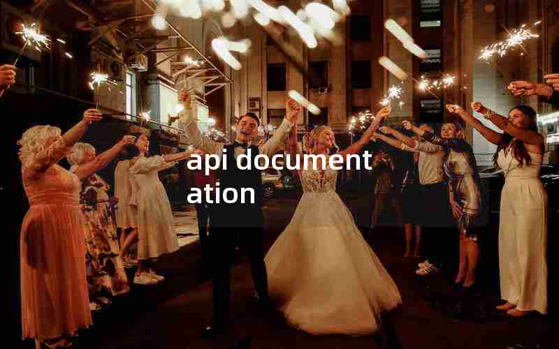 api documentation