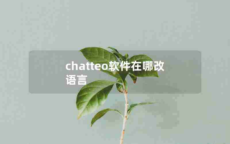 chatteo软件在哪改语言(ChatGpT怎么转为中文)