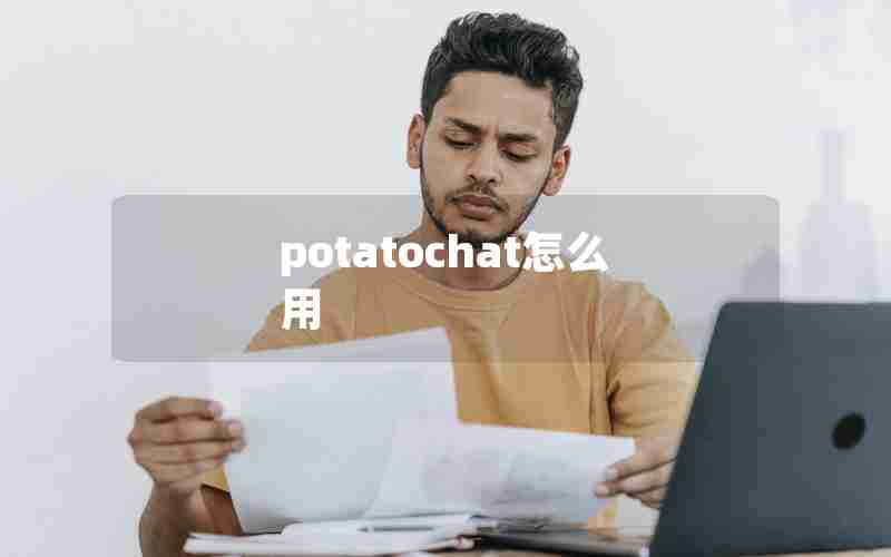 potatochat怎么用