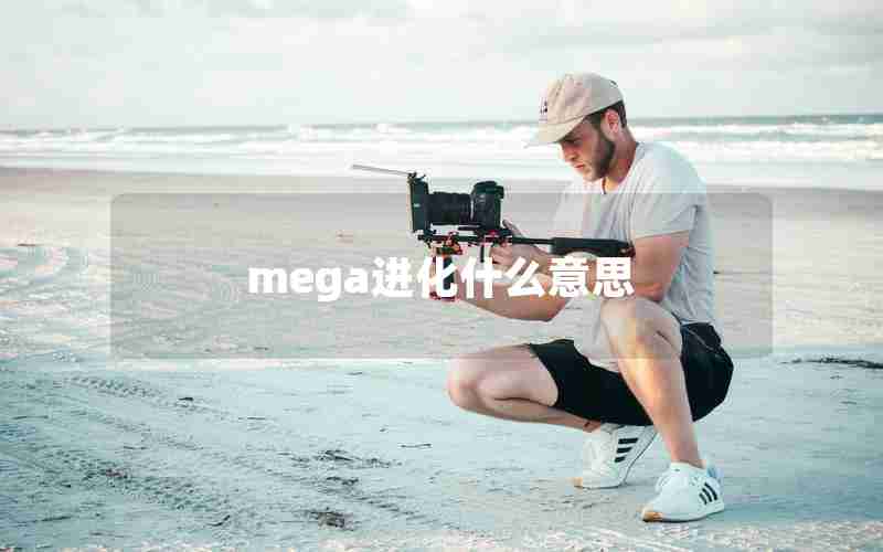 mega进化什么意思