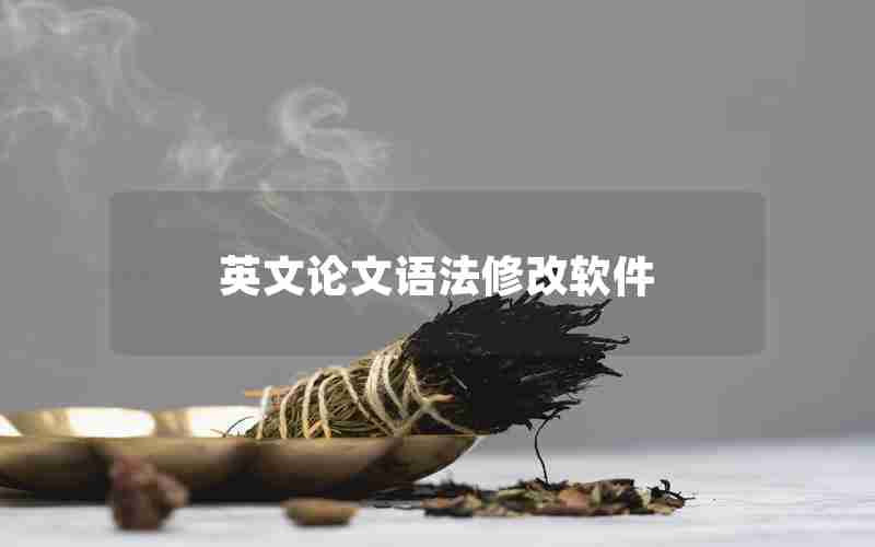 英文论文语法修改软件