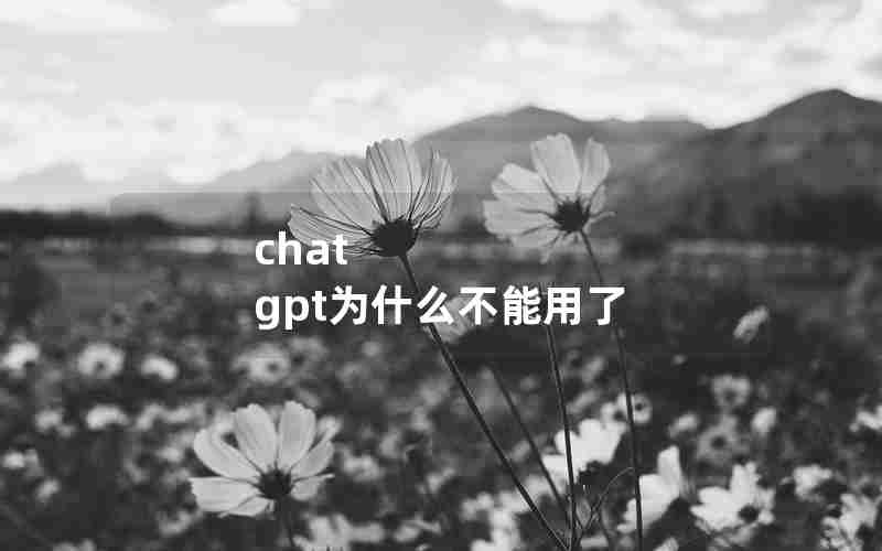 chat gpt为什么不能用了