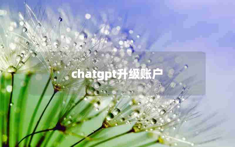 chatgpt升级账户