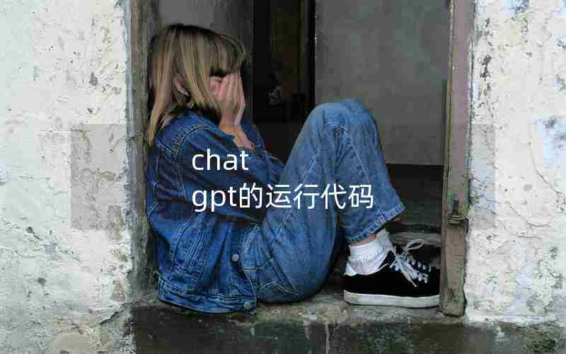 chat gpt的运行代码