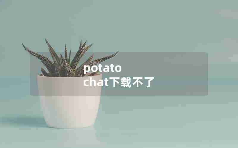 potato chat下载不了