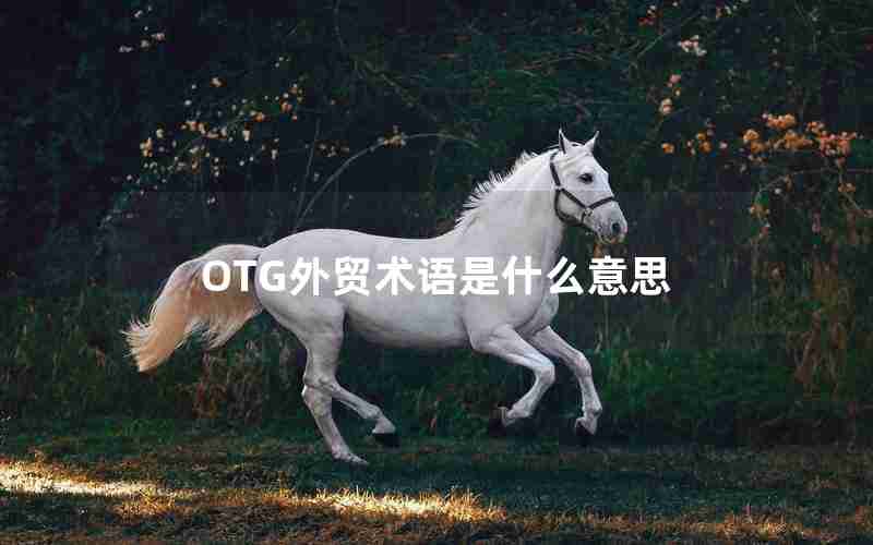 OTG外贸术语是什么意思