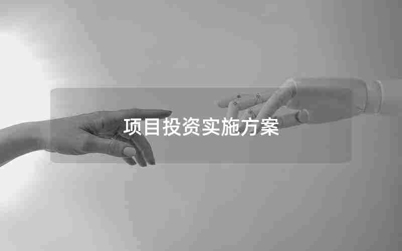 项目投资实施方案