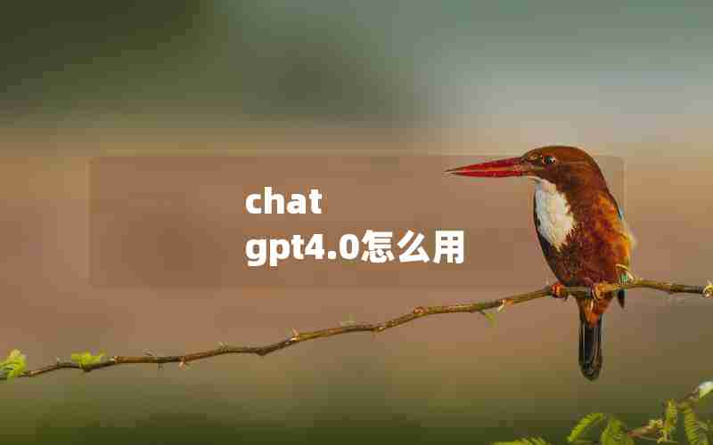 chat gpt4.0怎么用